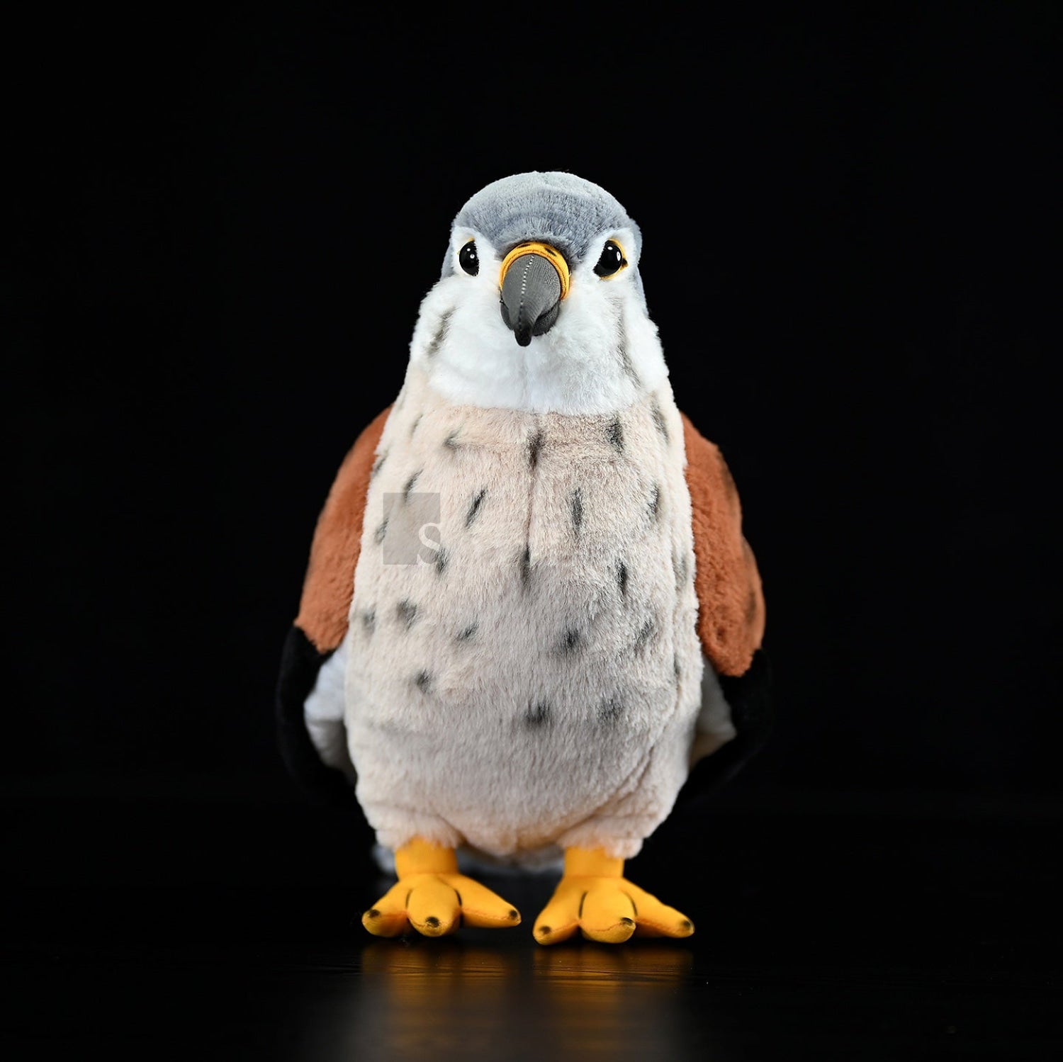 Front view of Eurasian Kestrel Plush Toy showcasing its lifelike features, soft fur, and vibrant colors