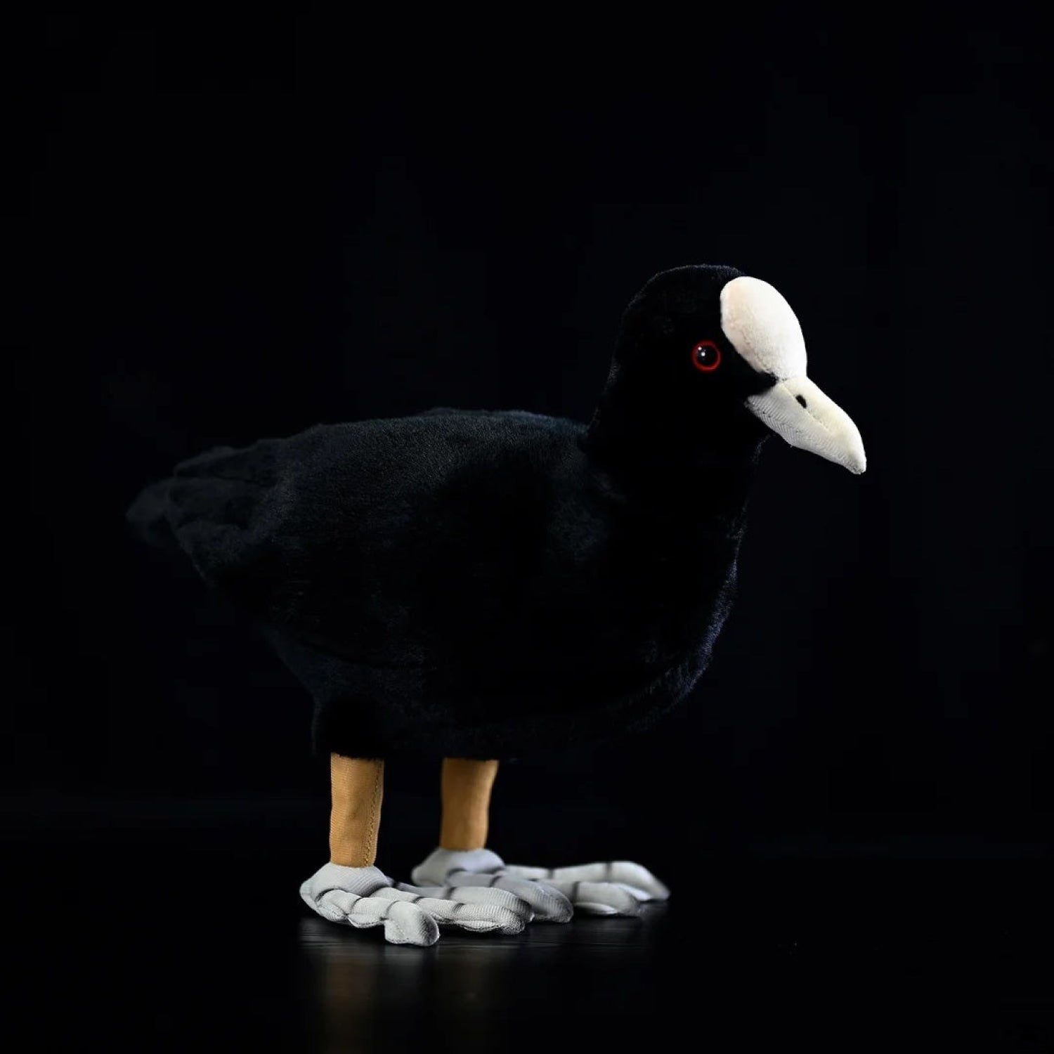 Lifelike Eurasian Coot bird plush toy with black feathers, white shield, and red eyes