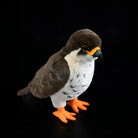 Realistic peregrine falcon plush toy with detailed black beak, lifelike feathers, and bright orange talons