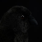 Close-up of the carrion crow plush toy’s face, showing its shiny eyes and detailed features