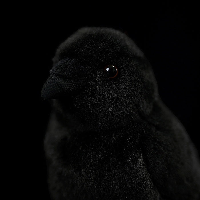 Slightly angled view of the adorable carrion crow plush toy with its soft, fluffy body