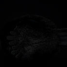 Detailed view of the plush crow’s soft feet, showcasing its intricate and cute design