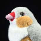 Detailed view of Zebra Finch Plush Toy's face, featuring vibrant colors and lifelike details
