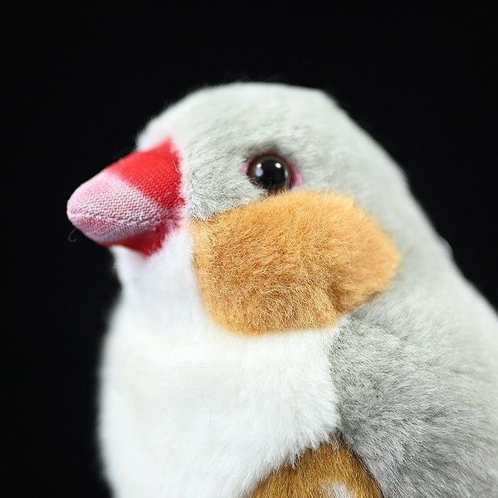 Detailed view of Zebra Finch Plush Toy's face, featuring vibrant colors and lifelike details