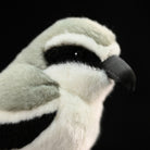 Close-up of Giant Grey Shrike Plush Toy's face, showcasing intricate details and lifelike craftsmanship