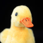 Close-up of Pekin Duckling Plush Toy's orange beak and lifelike face, perfect for animal lovers
