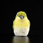 Front view of the Warbling White-Eye Plush Toy by SoftDaysLab, featuring its lifelike and chubby design