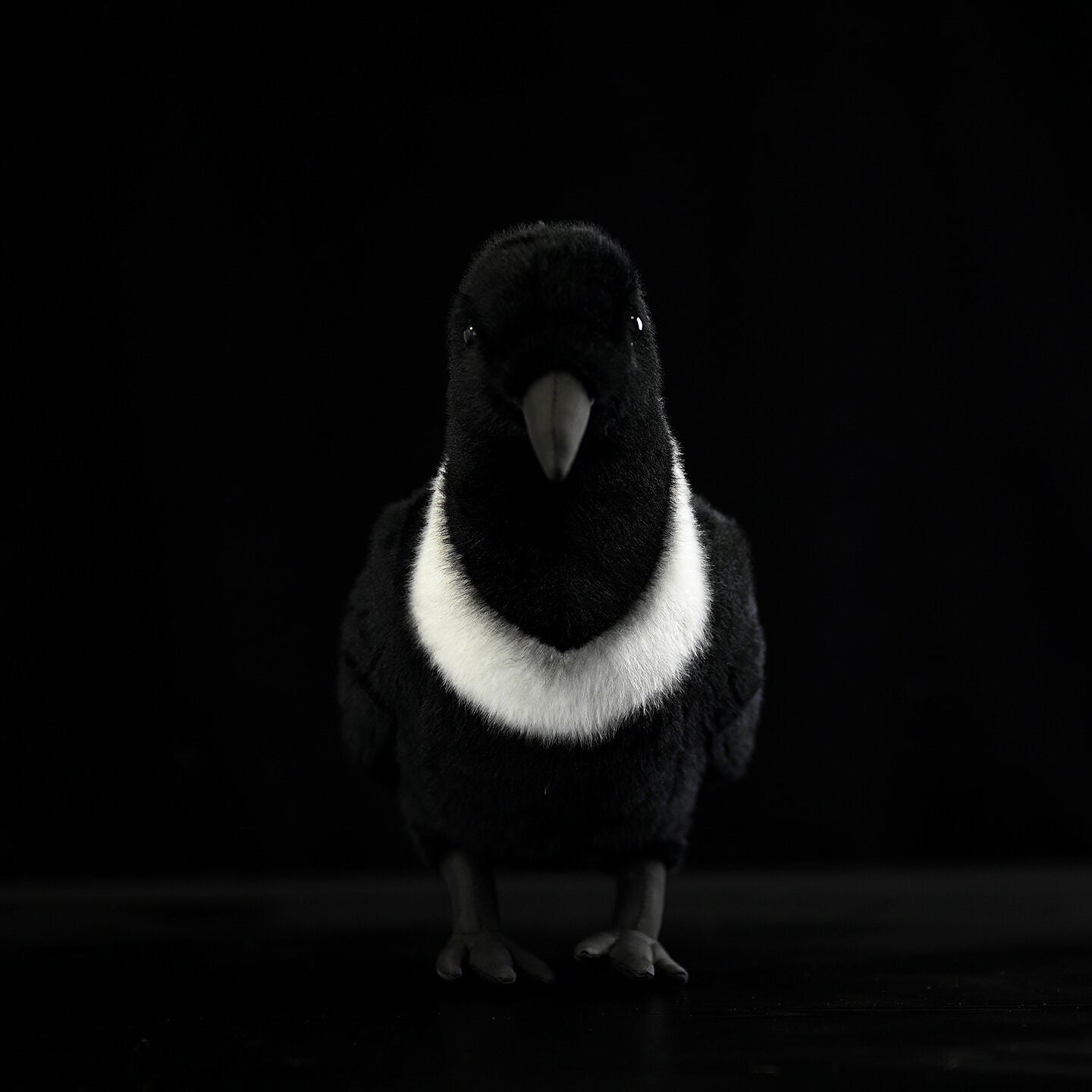 Front view of a Collared Crow stuffed toy showcasing its ring-necked design and lifelike craftsmanship