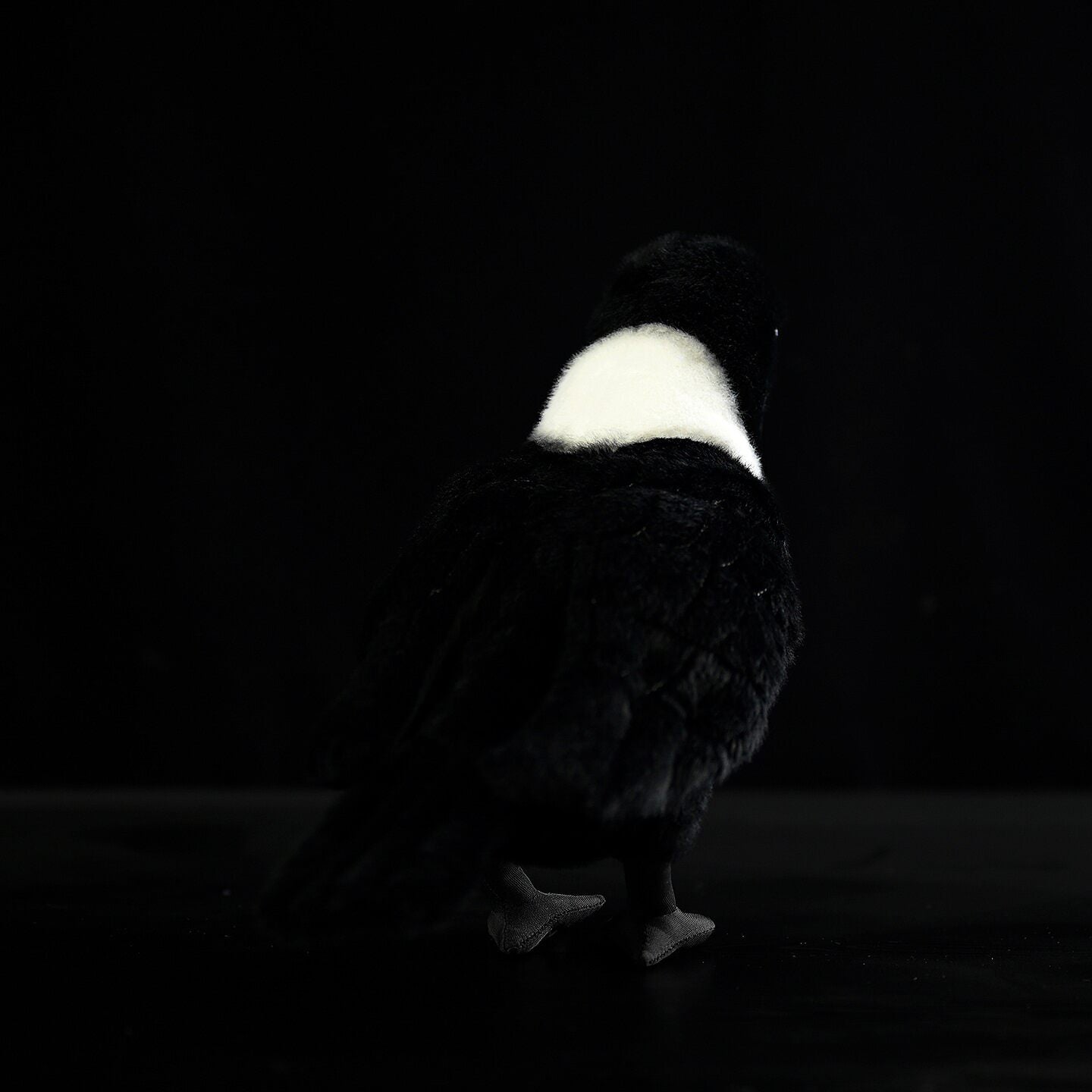 Rear view of a Collared Crow plush toy, highlighting its white collar and sleek black feathers