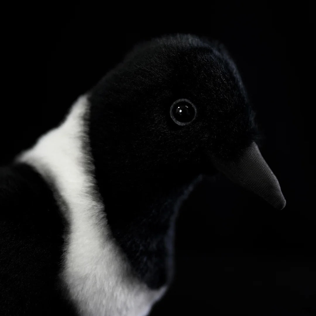Close-up of a Collared Crow plush toy’s face, showcasing its lifelike eyes and detailed beak