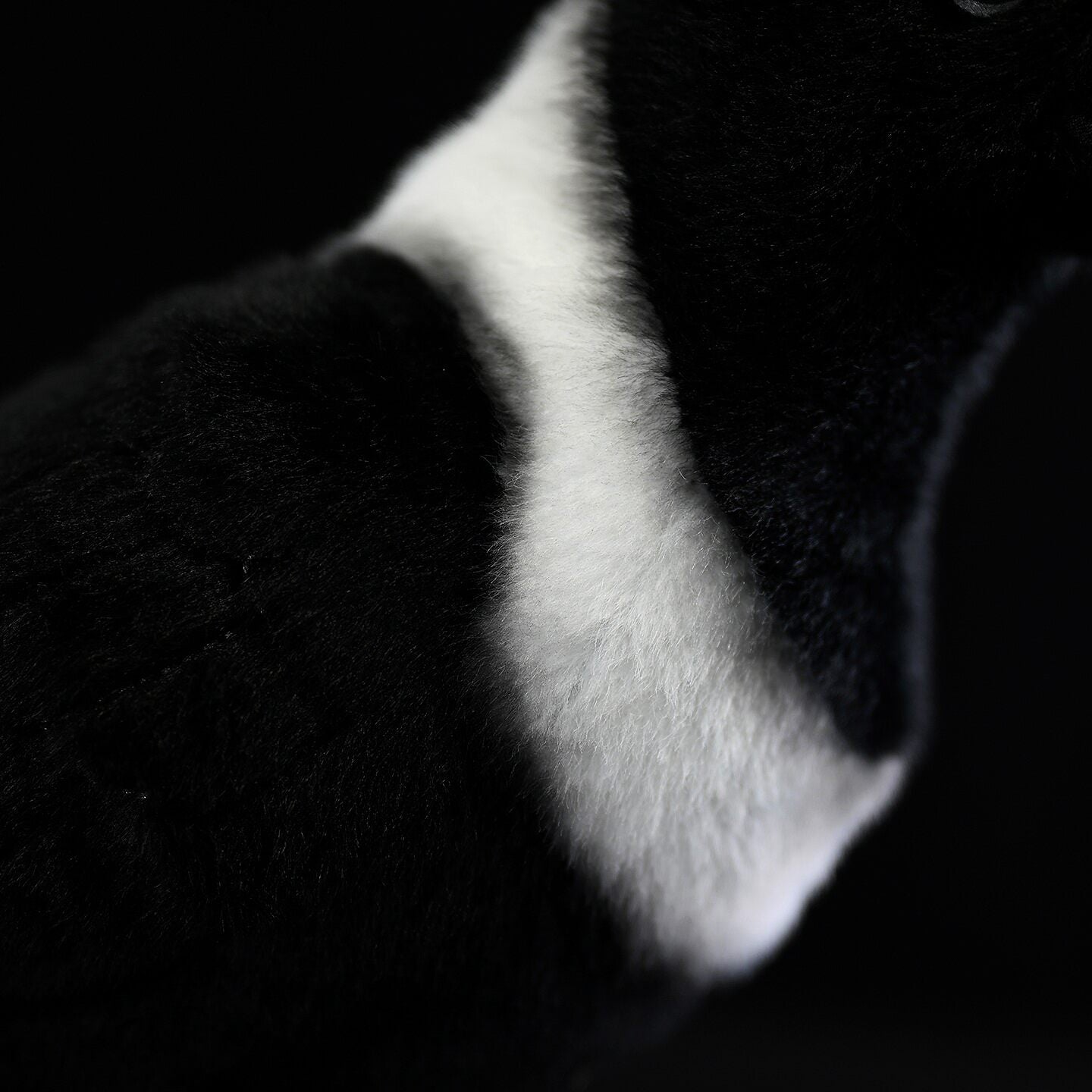 Close-up of the Collared Crow plush toy's white collar, highlighting its soft and realistic texture
