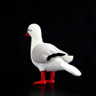 Back angle of a lifelike Black-headed Gull plush, showcasing detailed tail feathers and vibrant red legs