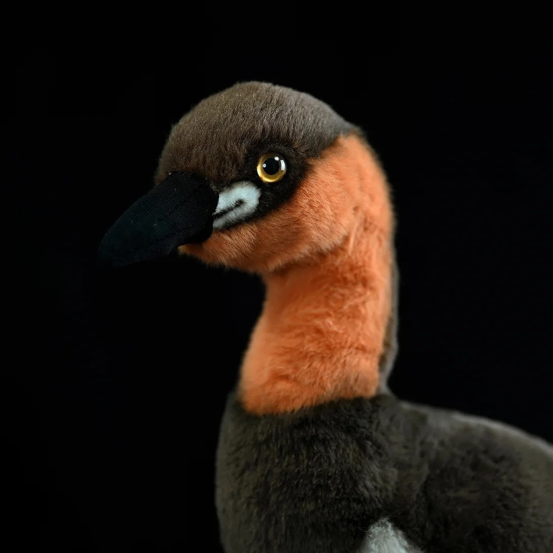 Close-up of Little Grebe plush's lifelike head, featuring vibrant orange and brown details