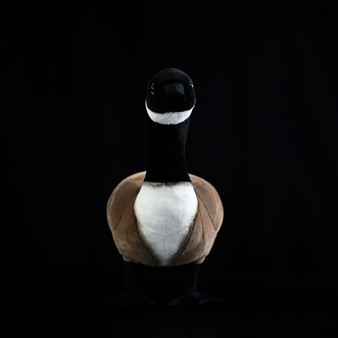 Front view of a Canada Goose plush toy with lifelike black and white markings