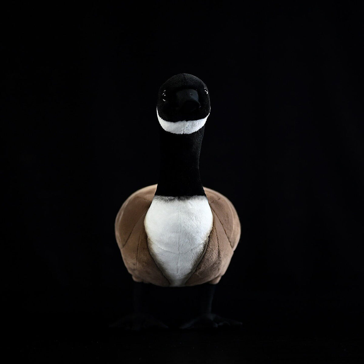 Front view of a Canada Goose plush toy with lifelike black and white markings