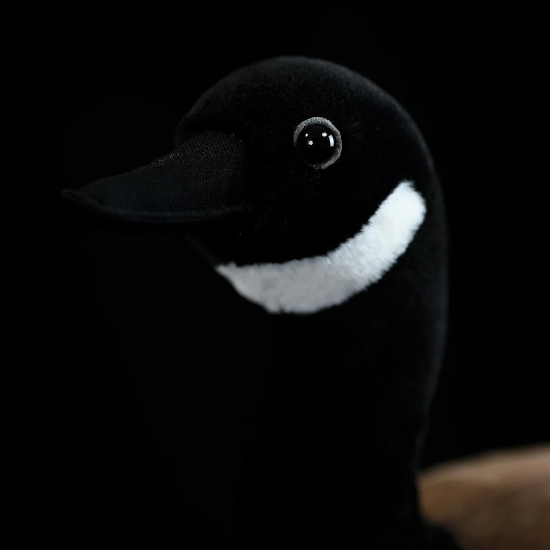 Close-up of a Canada Goose plush toy’s detailed head and lifelike features