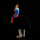 Profile of a Southern Cassowary plush toy showing its realistic casque and red wattles
