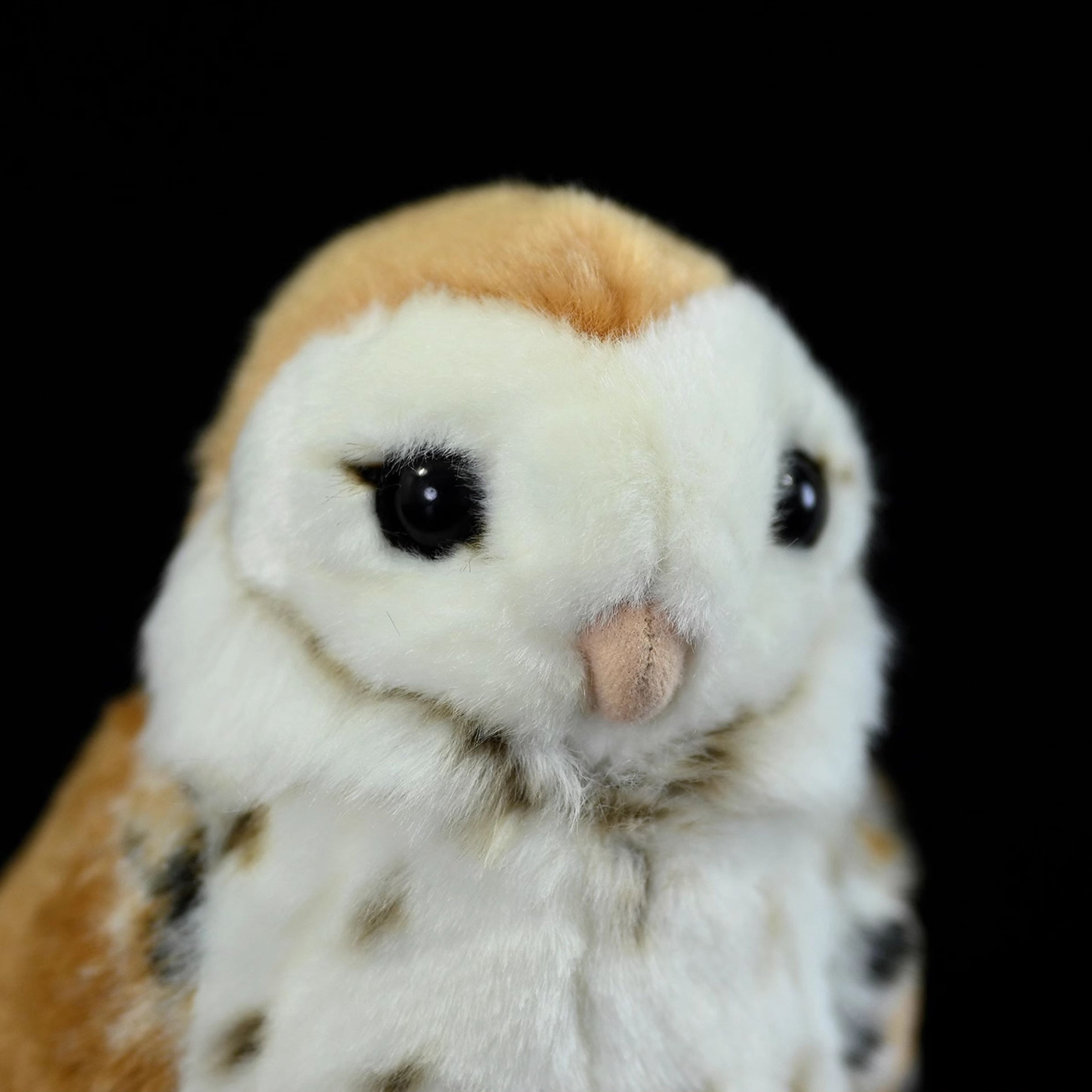 Charming close-up of the Barn Owl Plush Toy’s face, displaying its iconic heart-shaped design