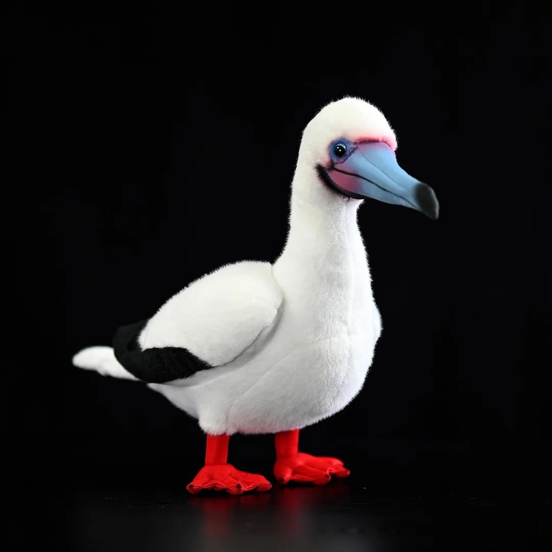 Realistic Red-footed Booby plush toy with detailed red feet and blue bill by SoftDaysLab for bird lovers
