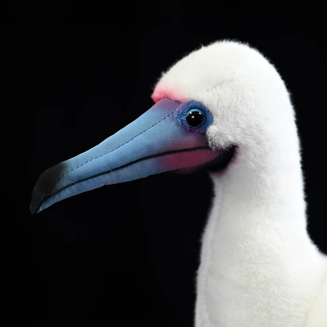 Close-up of the Red-footed Booby plush head with detailed pink-blue bill and soft fur by SoftDaysLab