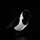 Daurian Jackdaw plush in a lifelike pose, showcasing its realistic features and soft material by SoftDaysLab