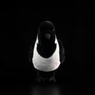 Front view of Daurian Jackdaw plush with realistic black and white details by SoftDaysLab, perfect for bird lovers