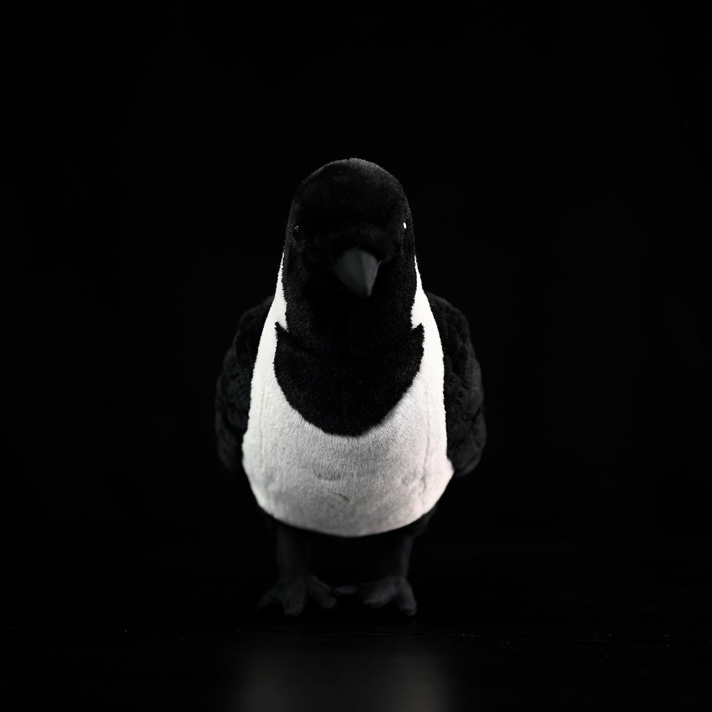 Front view of Daurian Jackdaw plush with realistic black and white details by SoftDaysLab, perfect for bird lovers