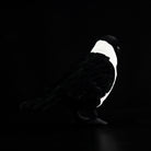 Rear view of Daurian Jackdaw plush showing detailed black plumage and realistic shape, ideal for collectors
