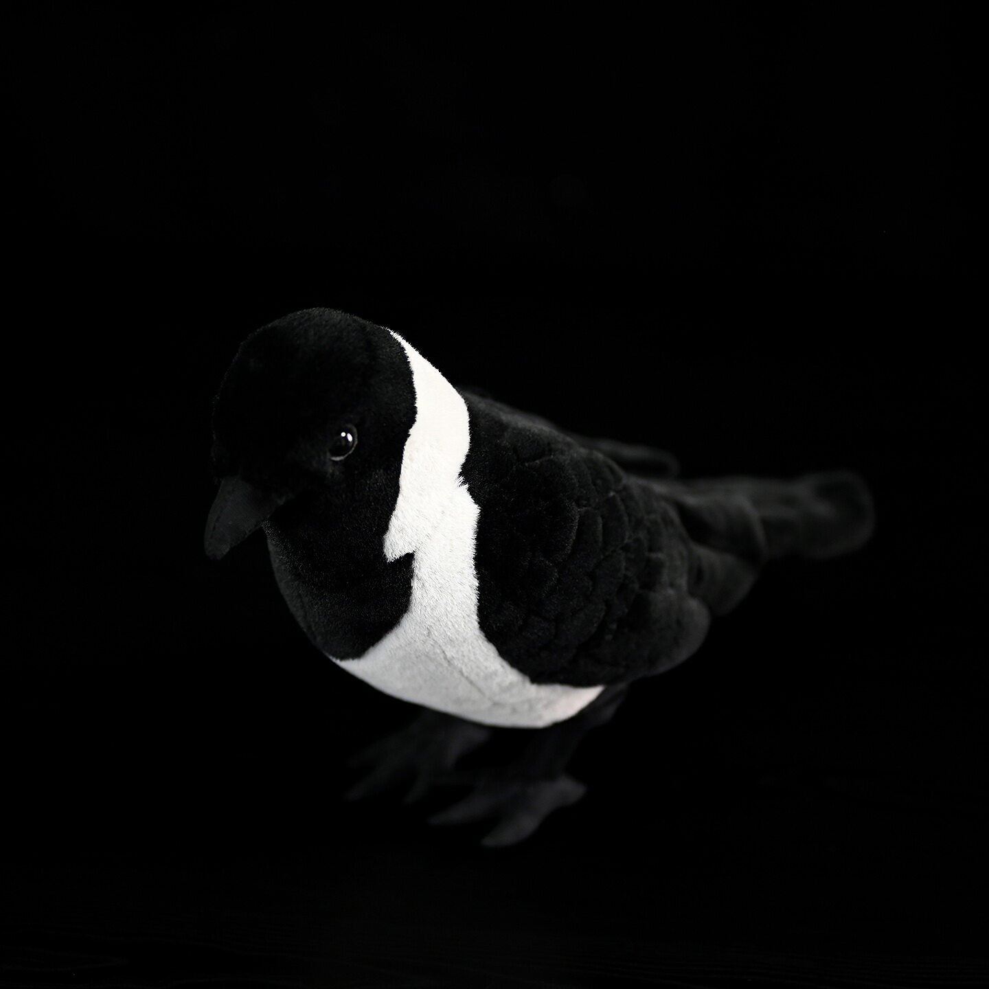 Top-down view of Daurian Jackdaw plush toy showcasing detailed black and white plumage by SoftDaysLab