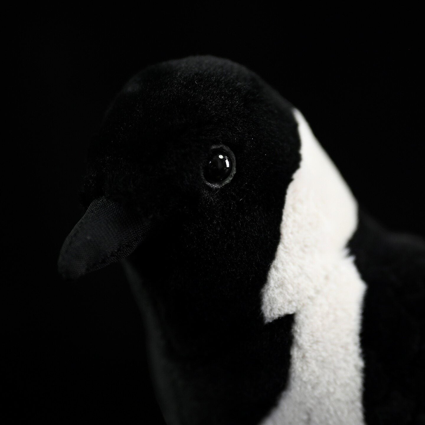 SoftDaysLab ダウリアン・ジャックドーぬいぐるみ – 鳥好きのための