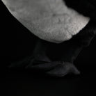 Close-up view of Daurian Jackdaw plush feet with fine stitching and realistic texture for bird enthusiasts
