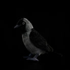 Lifelike plush of a Western Jackdaw with realistic details, mimicking the bird’s iconic dark gray and black tones