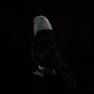 Rear view of Western Jackdaw plush with beautifully crafted black feathers and a realistic silhouette