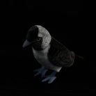 Top-down angle of Western Jackdaw plush, highlighting its lifelike features and intricate design