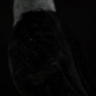 Detailed texture of Western Jackdaw plush feathers, showcasing soft fabric and intricate stitching