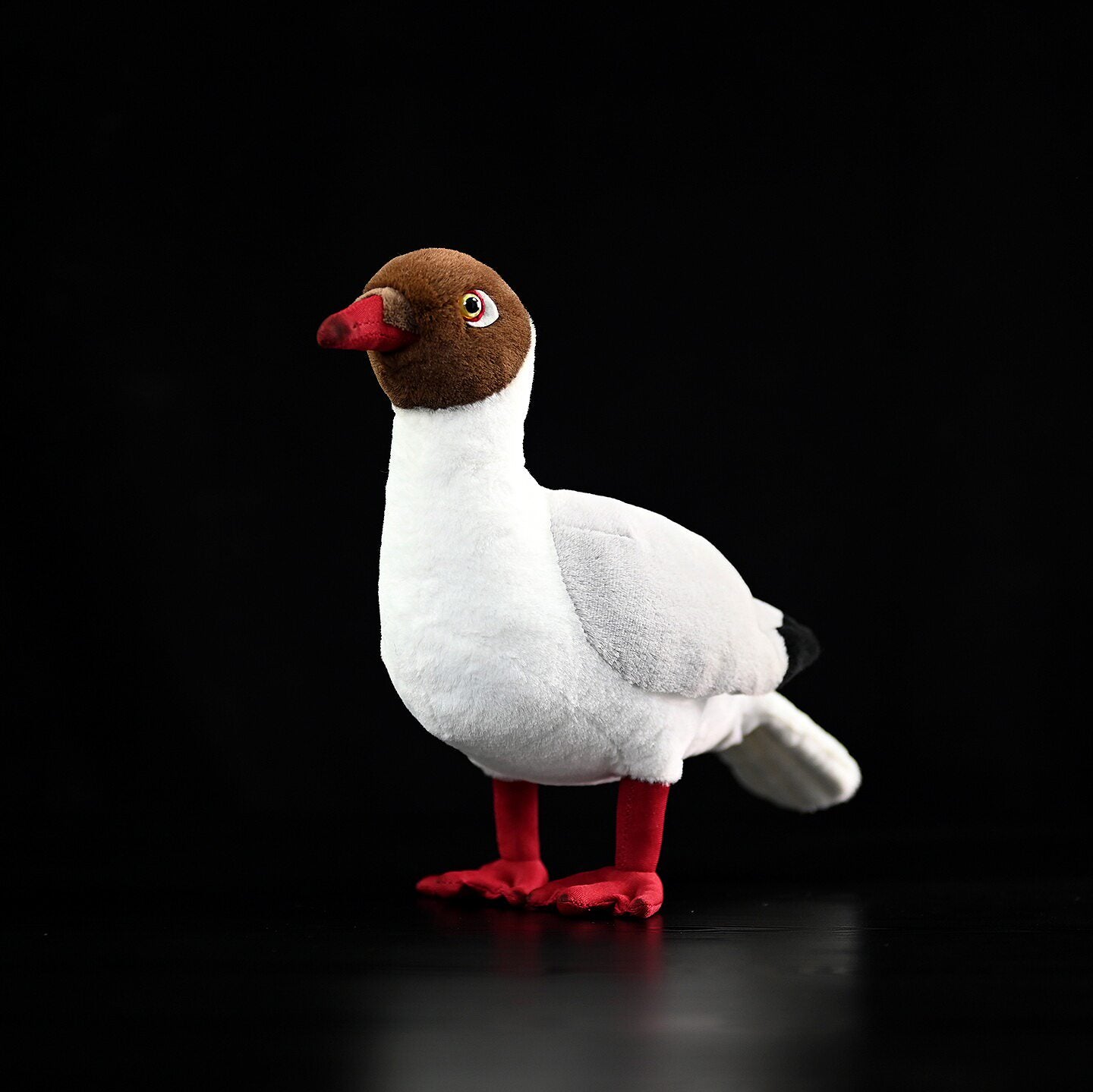 Vista frontale di un peluche di gabbiano comune (Gabbiano testabruna) realistico, prodotto da SoftDaysLab, perfetto per gli appassionati di uccelli.
