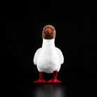 Front view of a realistic Brown-headed Gull stuffed toy by SoftDaysLab, showcasing vivid colors and design