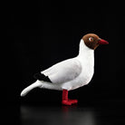 Side view of a Brown-headed Gull plush by SoftDaysLab, featuring realistic details and soft textures