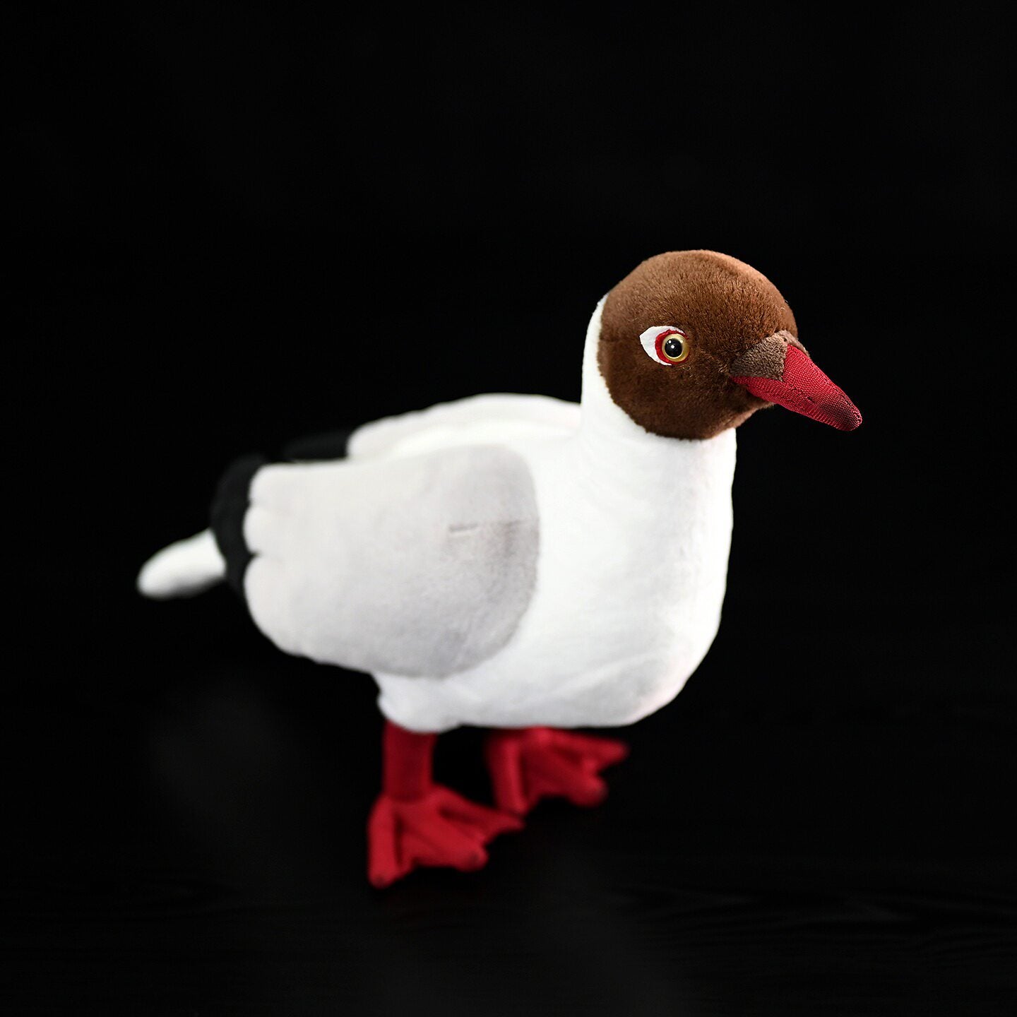 Top-down angle of a Brown-headed Gull plush by SoftDaysLab, capturing its lifelike brown and white plumage