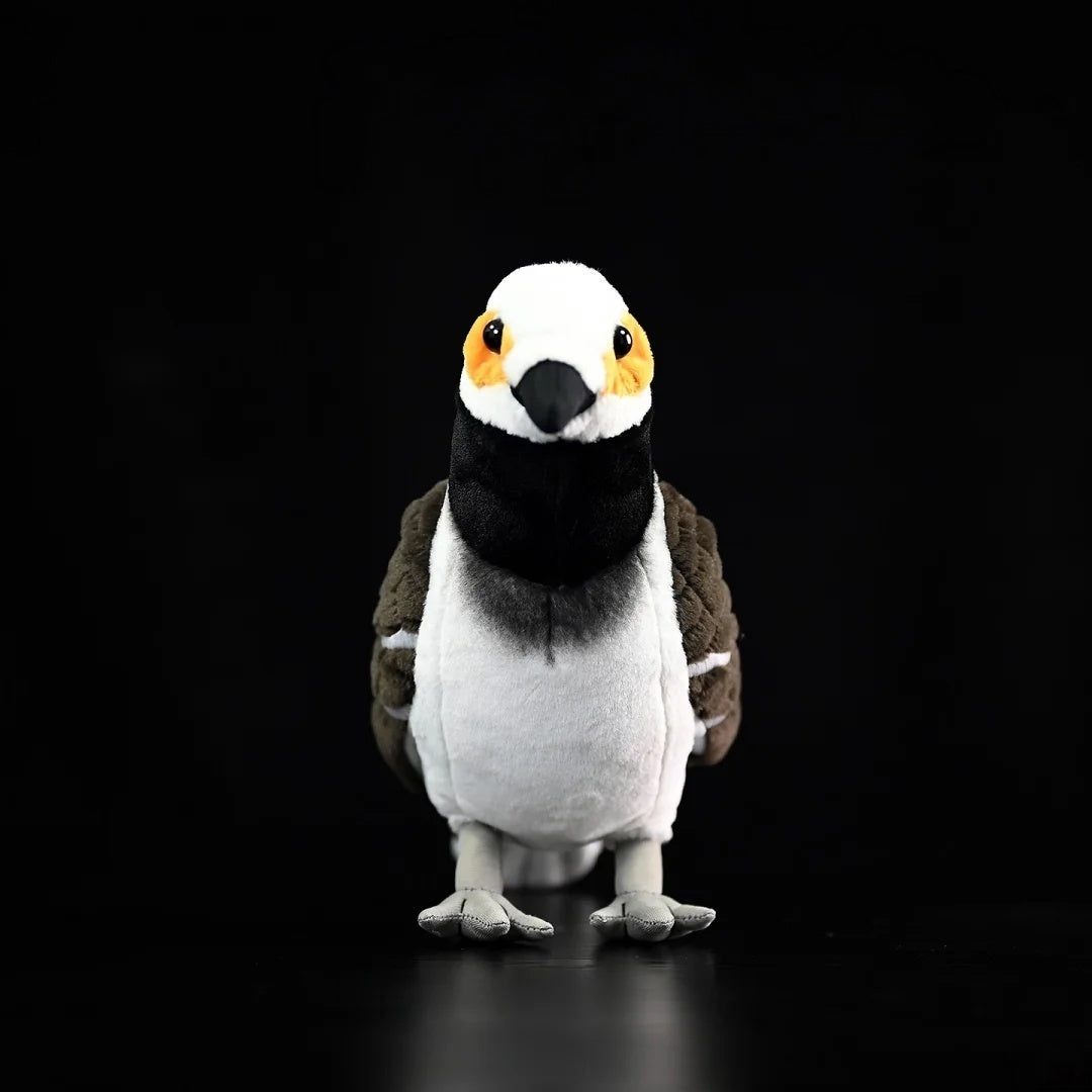 Front view of the soft and realistic Black-collared Starling plush by SoftDaysLab®, showcasing vivid details