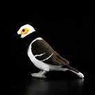Profile of a Black-collared Starling plush by SoftDaysLab®, highlighting its lifelike brown and white plumage