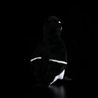 Rear view of the Razorbill plush by SoftDaysLab®, highlighting its precise feather-like pattern
