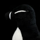 Close-up of Razorbill plush's face by SoftDaysLab®, showcasing its detailed beak and natural craftsmanship
