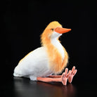 Garcilla bueyera oriental de peluche realista de SoftDaysLab®, ideal para entusiastas de la naturaleza y amantes de las aves.