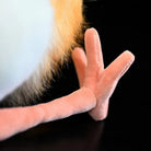 Patas suaves y detalladas de garceta bueyera oriental de peluche de SoftDaysLab®, elaboradas para brindar autenticidad y encanto.