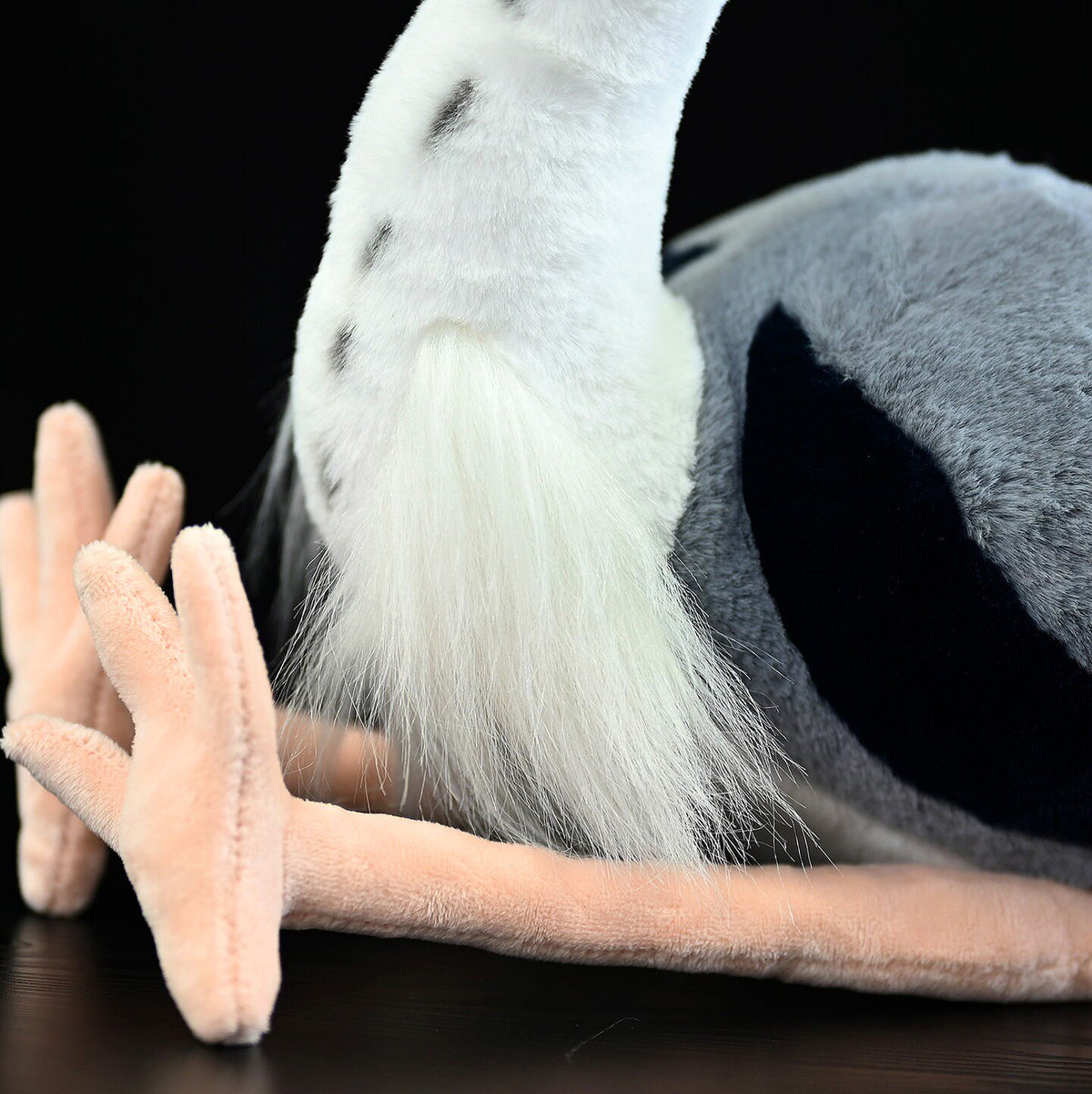 Gros plan sur les pattes d'un héron cendré par SoftDaysLab®, douces et détaillées pour un rendu réaliste, parfaites pour les présentations.