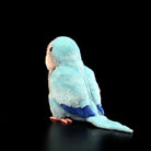 Back view of Blue Quaker Parrot plush by SoftDaysLab®, showing its detailed blue tail and wing features for bird enthusiasts