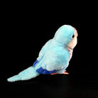 Full rear view of Blue Quaker Parrot plush by SoftDaysLab®, capturing vibrant blue tones and soft textures