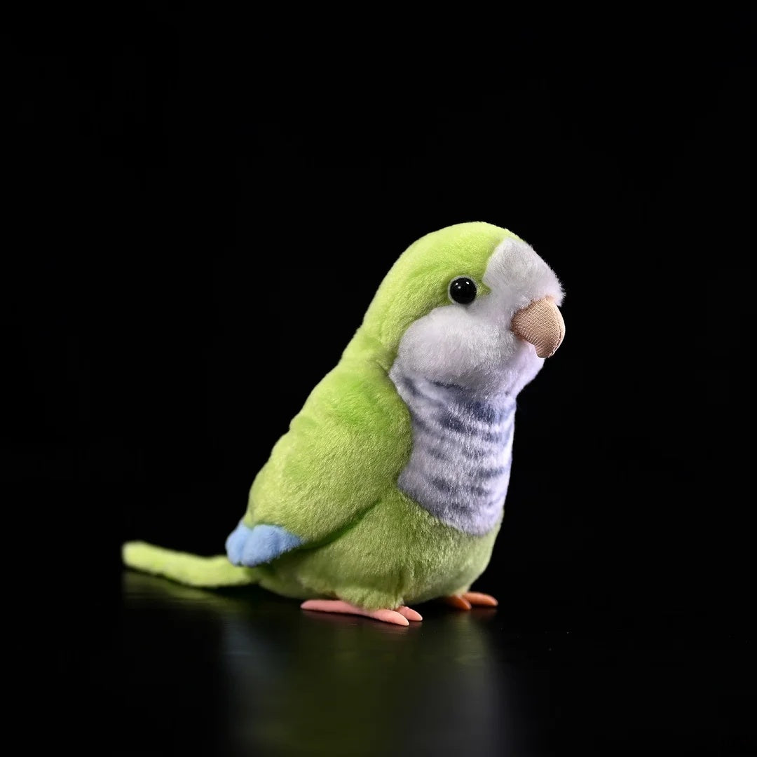 Lifelike Monk Parakeet plush toy by SoftDaysLab®, featuring vibrant green feathers and soft texture