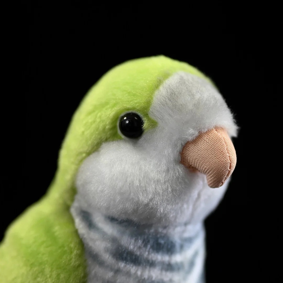 Close-up of Monk Parakeet plush toy's face by SoftDaysLab®, featuring detailed craftsmanship and charm